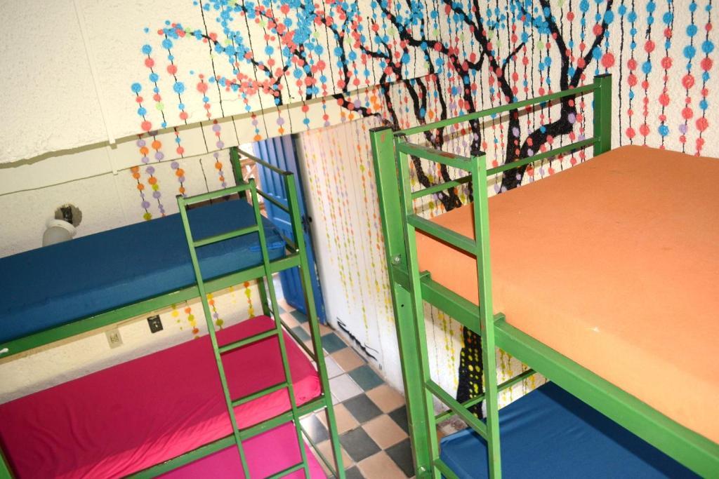 El Misti Hostel Ilha Grande Ilha Grande  ห้อง รูปภาพ