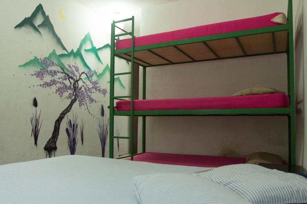 El Misti Hostel Ilha Grande Ilha Grande  ภายนอก รูปภาพ