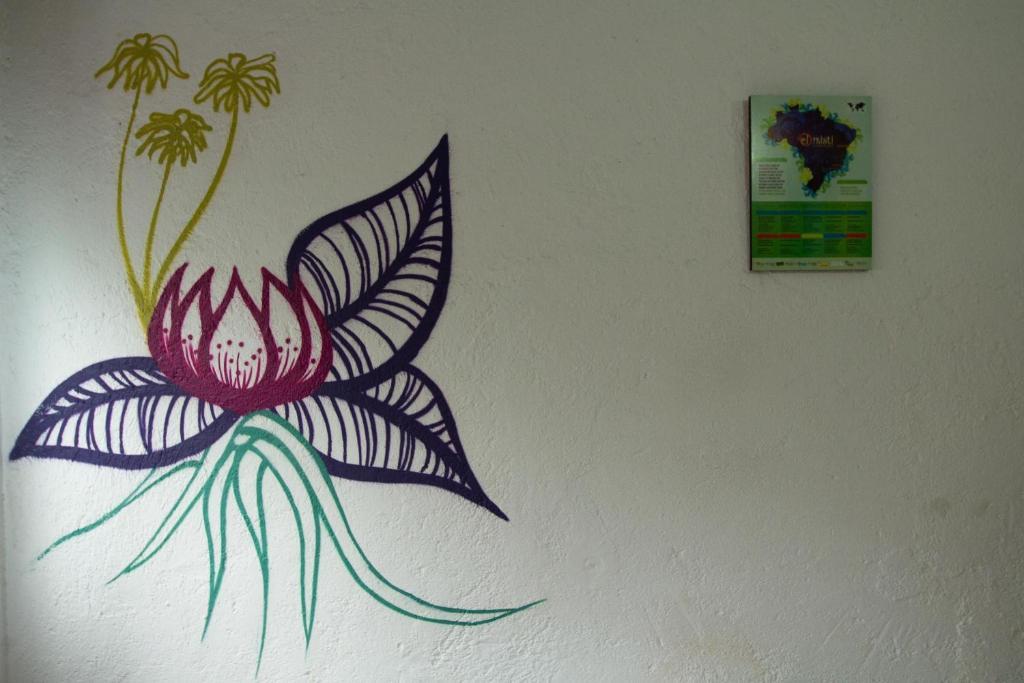 El Misti Hostel Ilha Grande Ilha Grande  ภายนอก รูปภาพ